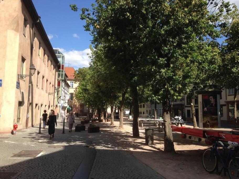 Petite Austerlitz Lejlighed Strasbourg Eksteriør billede